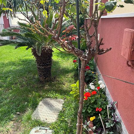 Apartments Villa Stella Maris ロゴズニッツァ エクステリア 写真