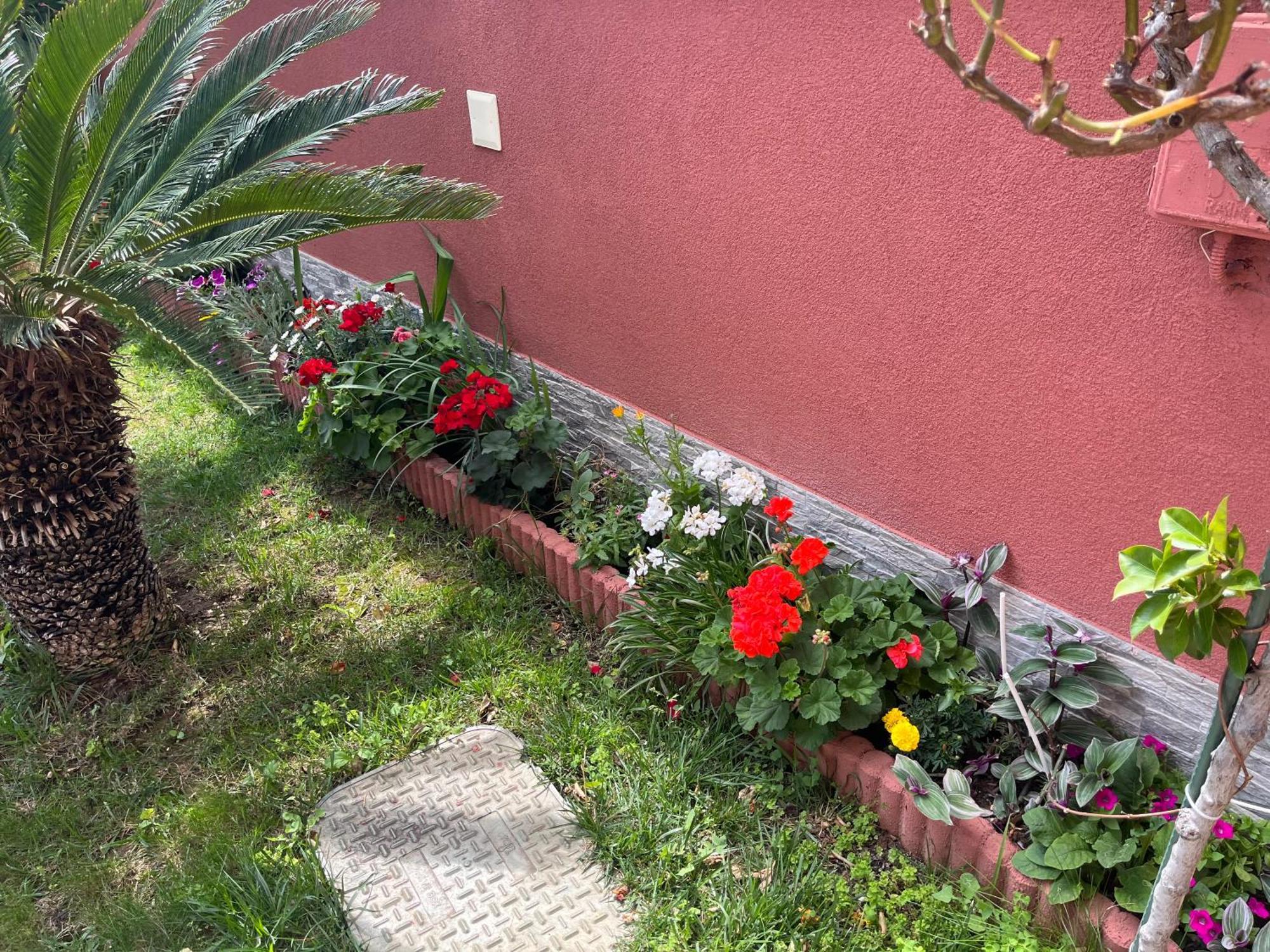 Apartments Villa Stella Maris ロゴズニッツァ エクステリア 写真