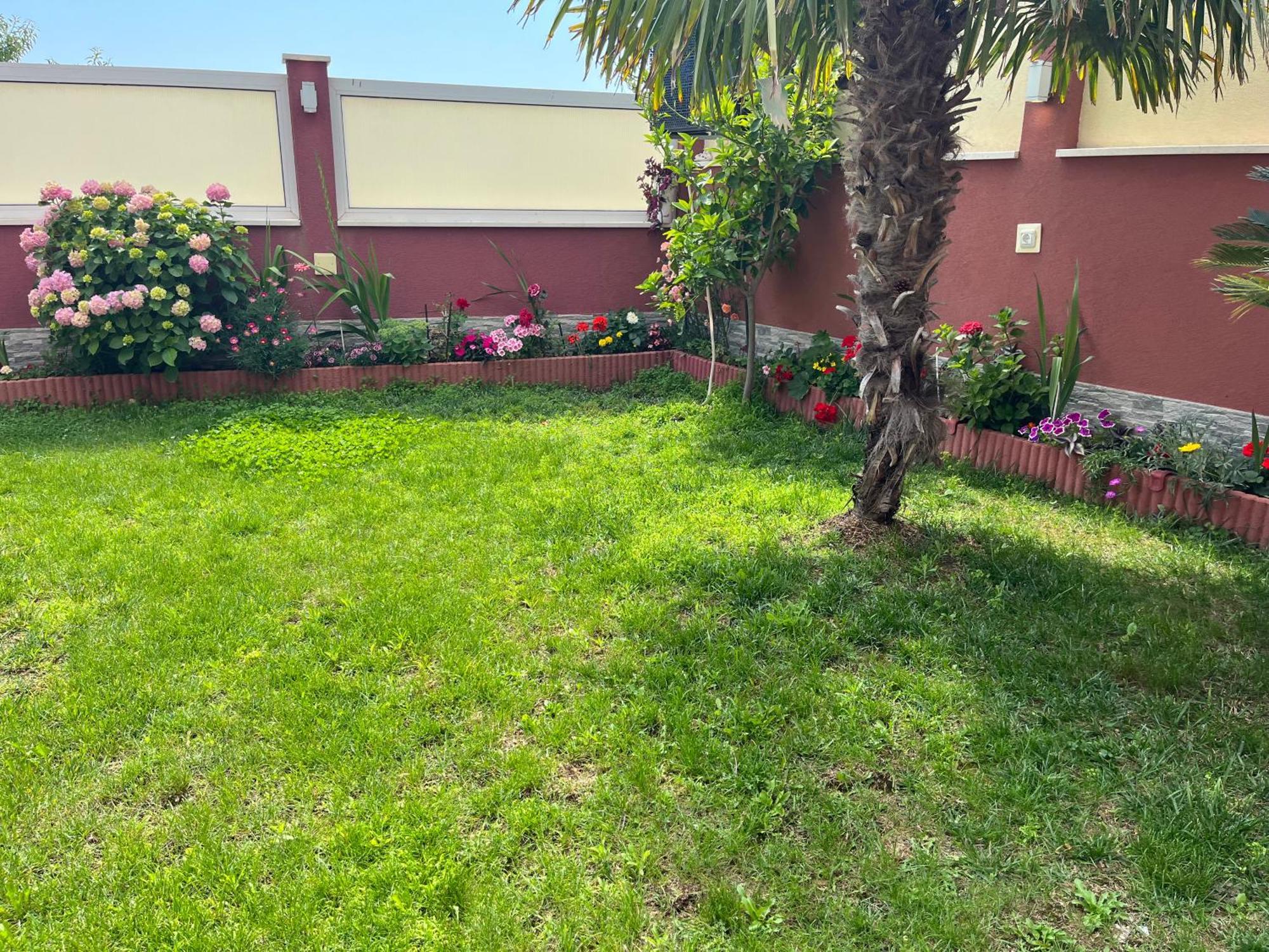 Apartments Villa Stella Maris ロゴズニッツァ エクステリア 写真