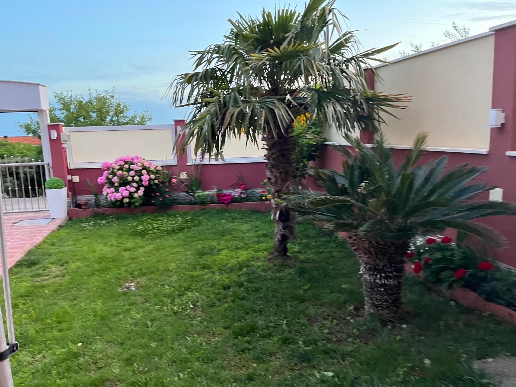 Apartments Villa Stella Maris ロゴズニッツァ エクステリア 写真